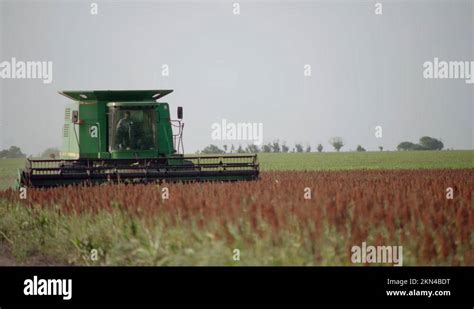 Thresher threshing machine Stock Videos & Footage - HD and 4K Video ...