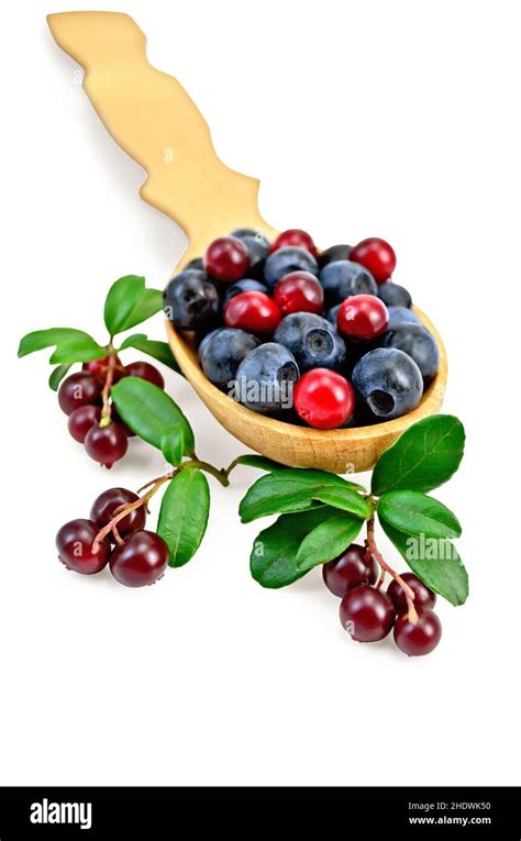 Blueberry Cranberry Blueberries Cranberries Stock Photo Alamy