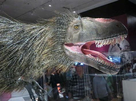 The Top 10 Weird Dinosaurs