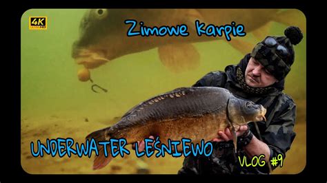 Łowienie karpi zimą UNDERWATER film Vlog 9 YouTube