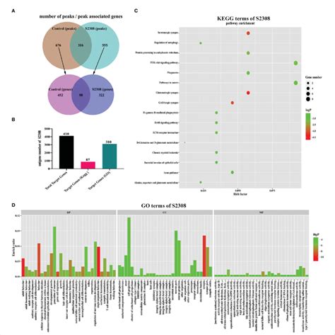 Chip Seq Analysis Of The Nf Kb Target Gene A The Number Of Peaks And