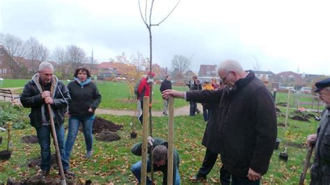 B Ume Wangerland Erde Und Flut