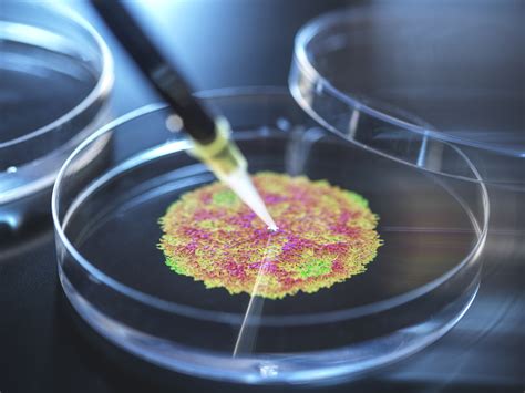 A Holanda continua tendência negativa, vê um declínio adicional no