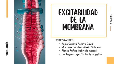 Excitabilidad De La Membrana RENATO DAVID ROJAS CANOVA UDocz