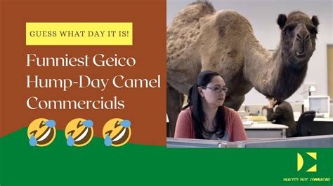 Geico Hump Day Camel