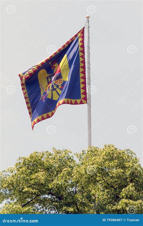 Romanian monarchy flag stock image. Image of arms, model - 79386407