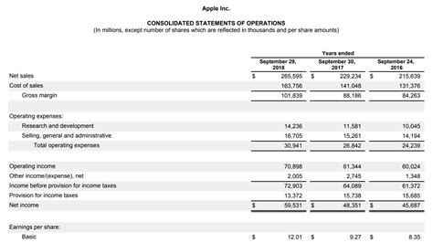 Understanding The Projected Financial Statements Example Free Sample Example And Format