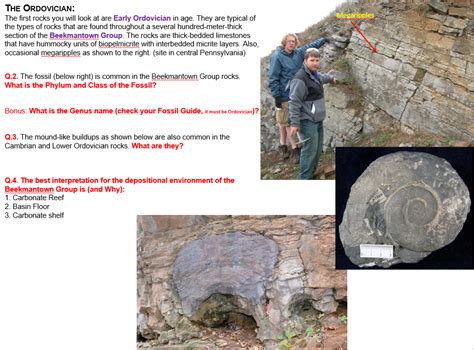 Solved Megaripples THE ORDOVICIAN: The first rocks you will | Chegg.com