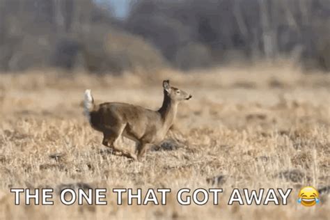 Deer Run GIF - Deer Run Jump - Discover & Share GIFs