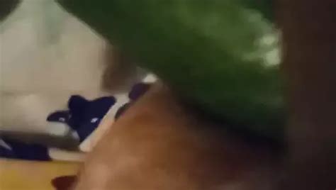 Mariquita anal la destrucción xHamster