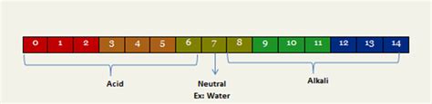 Products, PH Levels, & Your Natural Hair | My Curly Mane - Natural Hair Care Blog, Tips, and ...