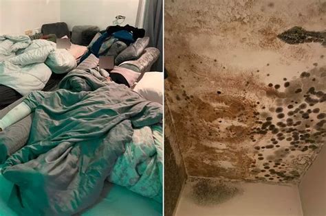 Kesha Captures Major Underboob In Too Small Bikini Selfie That Don T Fit Daily Star