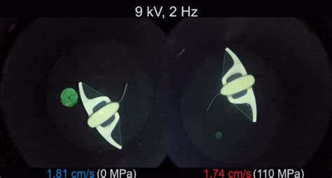 浙大机器鱼登上nature封面：深入万米马里亚纳海沟，里程碑式突破 知乎