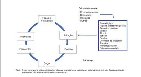 Coceira No ânus Entenda O Que Pode Ser Causas E Tratamento