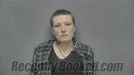 Recent Booking Mugshot For Harley Lynn Seeling In Vigo County Indiana