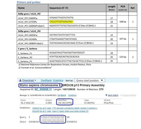 Información Sobre La Pcr 2