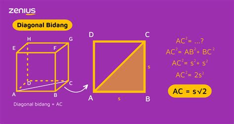 Diagonal Bidang Dan Diagonal Ruang Kubus Dan Balok