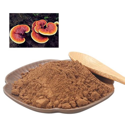 Factory Supply Reishi Extract Red Reishi Mushroom Organic Ganoderma