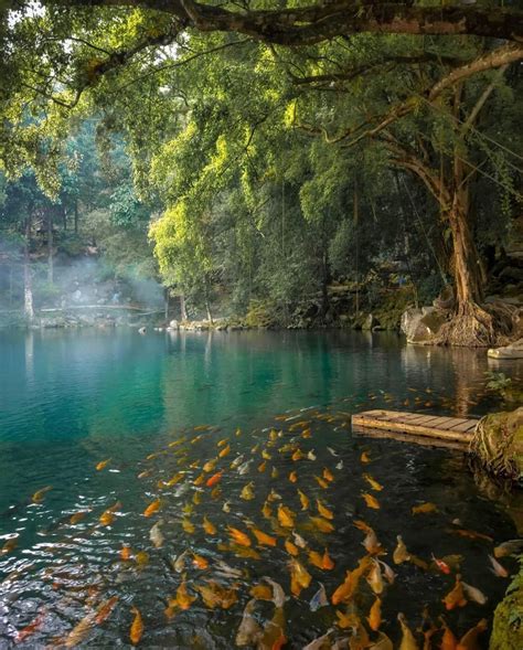 Telaga Biru Cicerem Danau Indah Sebening Kaca Di Kuningan