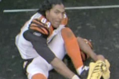 Steelers vs Bengals: T.J. Houshmandzadeh doesn’t regret Terrible Towel ...