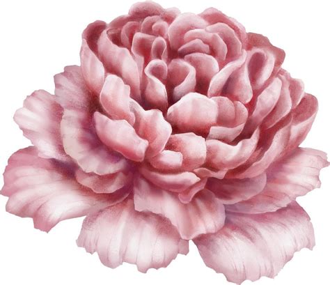 Pink Peony Flower 1 Wall Decal Sticker Removable Wallpaper Etsy