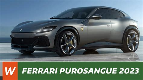 Ferrari Purosangue Les Premi Res Infos Youtube