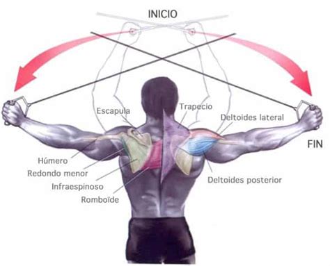 Hombros En Polea Alta Video Demostrativo M Sculo Implicados Errores