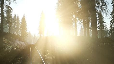 Sunbeam Over A Path In A Dark Forest Background A Photo Of A Road In A