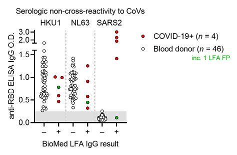 High Seroprevalence Of Anti Sars Cov 2 Antibodies In Chelsea