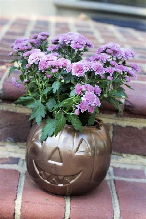 Simple Ways To Make A Pumpkin Planter Blitsy