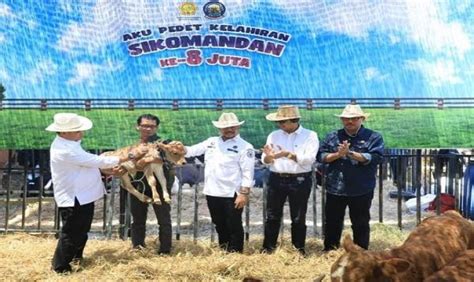 Jateng Jadi Lumbung Pangan Nasional Daging Hewan Ternak