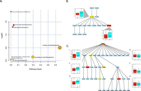 Metabolomics Pathway Analysis A Plot Shows Metabolome View Of Download Scientific Diagram