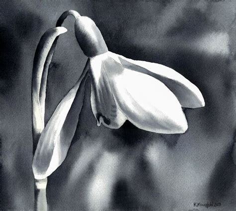 A Black And White Photo Of A Flower