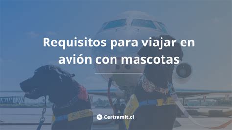 Requisitos para viajar en avión con niños dentro y fuera de Chile