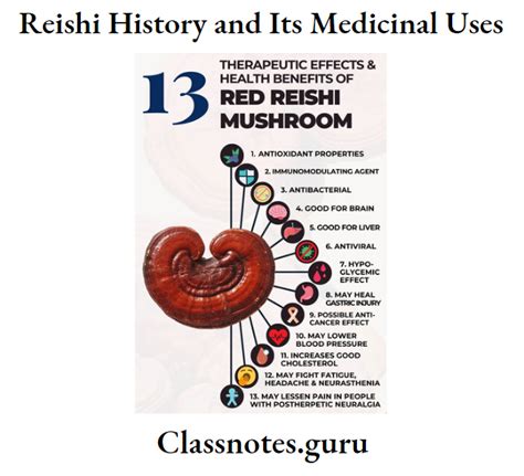 Reishi Mushroom Dosage for Healthy Life - Class Notes