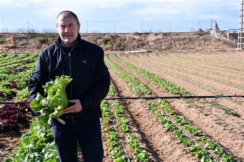 Especial De Cultivo Y Hoja Y Brassicas De Meridiem Seeds Febrero 2023