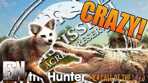 Epic Hunt In Mississippi Piebald Gray Fox And Alligator Down L