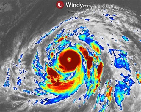 Typhoon Hagibis coverage @ Windy Community