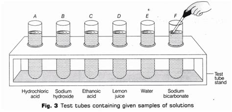 Cbse Class Science Lab Manual Ph Of Samples Cbse Library