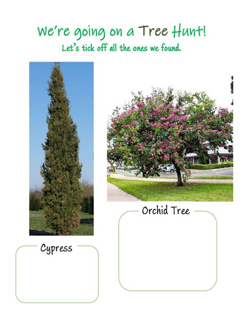 Tree Hunt | PDF