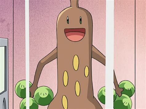 Keenans Sudowoodo Pokémon Wiki Fandom