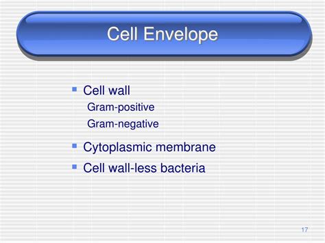 Ppt The Prokaryotes Powerpoint Presentation Free Download Id3026123