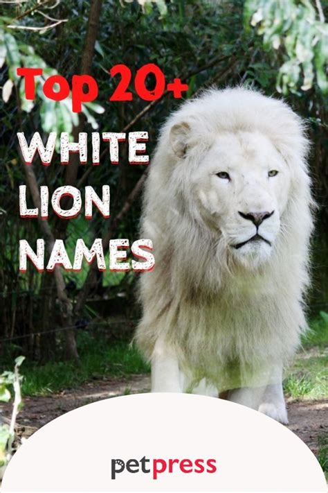 Majestic Names for your White Lion