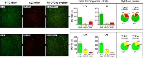 Fluorospot Analysis Of Il And Il Secreting Monocytes Co Secreting