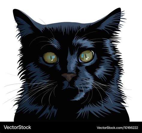 Black Cat Royalty Free Vector Image Vectorstock