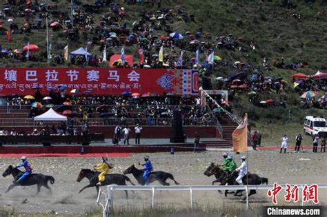 特色文旅为发展加“马”力 “速度与激情”在四川壤塘草原上演涉藏动态中国西藏网