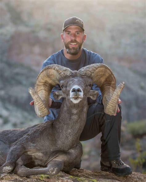 A3 Trophy Hunts Bighorn Sheep With A3 Trophy Hunts