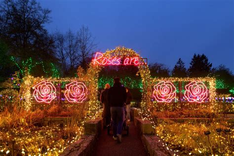 VanDusen Festival of Lights returning to Vancouver this holiday season ...