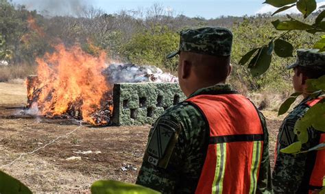 Layda Sansores On Twitter Se Incineraron 514 Kilos De Drogas Y