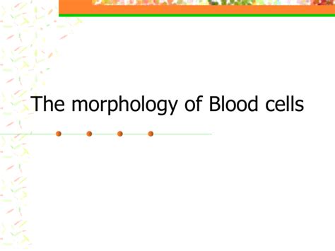 Blood cells morphology